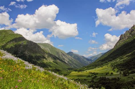 Особенности альпийских лугов