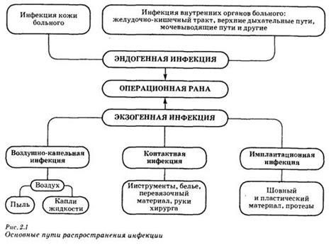 Особенности болезни и пути распространения