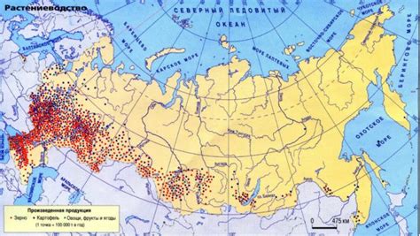 Особенности выращивания раннеспелой пшеницы в Российской Федерации