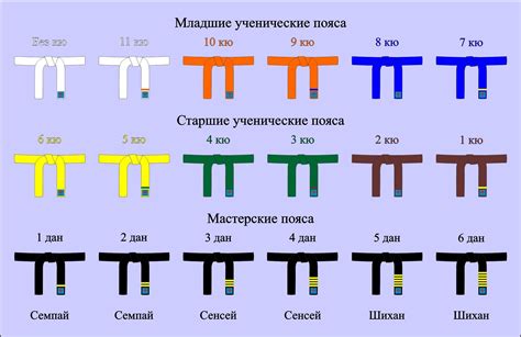 Особенности желтого пояса в каратэ