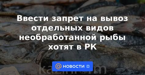 Особенности использования необработанной рыбы в кулинарии разных культур