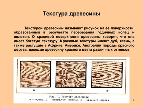 Особенности и характеристики древесины ясеня