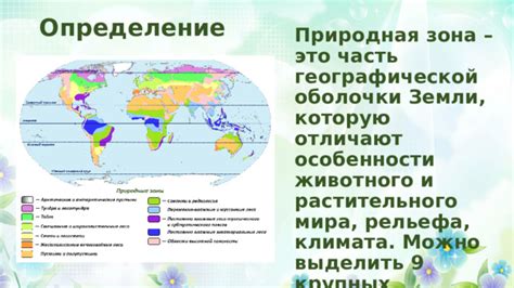 Особенности климата и растительного покрова в природной зоне Кулунды