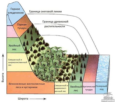 Особенности климата и состава почвы в районах распространения гречки