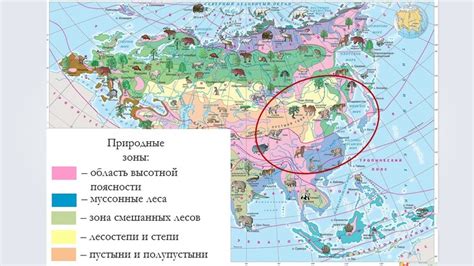 Особенности климата и флоры Великой пространственной равнины в Китае