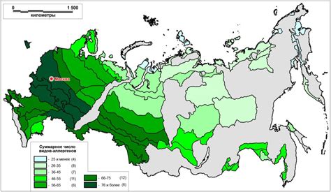 Особенности климата и флоры в областях, свободных от аллергенных растений