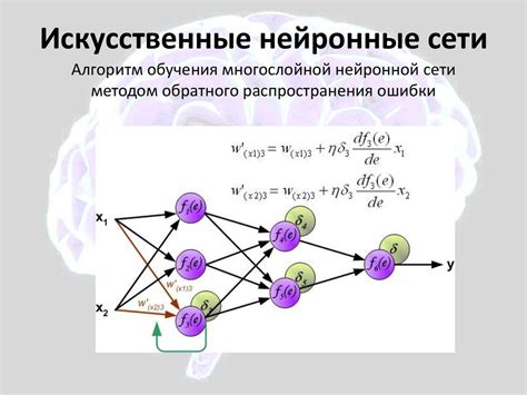 Особенности нейронной сети паразитических глистов