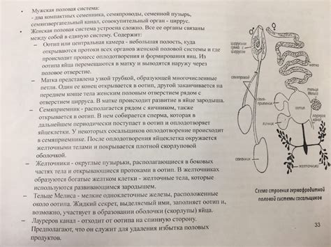 Особенности основных представителей позвонковых животных