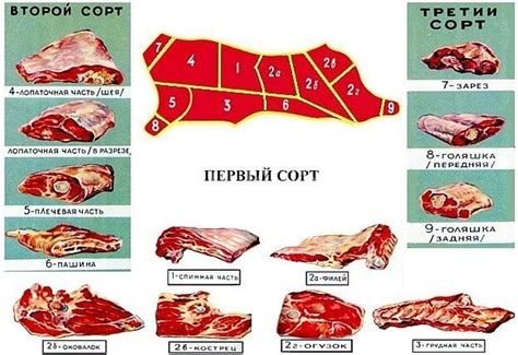 Особенности подготовки мяса для дегидратации