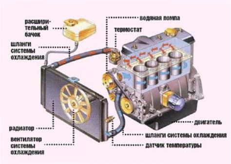 Особенности поиска и определения типа двигателя на разных моделях автомобиля Фиат Пунто