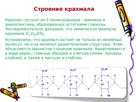 Особенности полисахаридной структуры крахмала