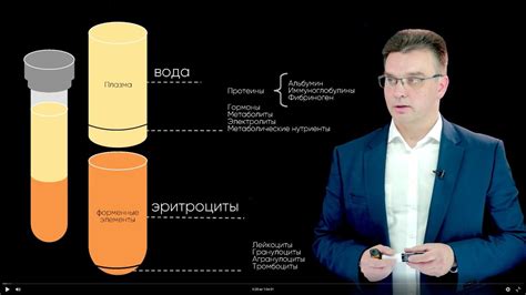 Особенности процесса взятия образца крови у маленьких пациентов