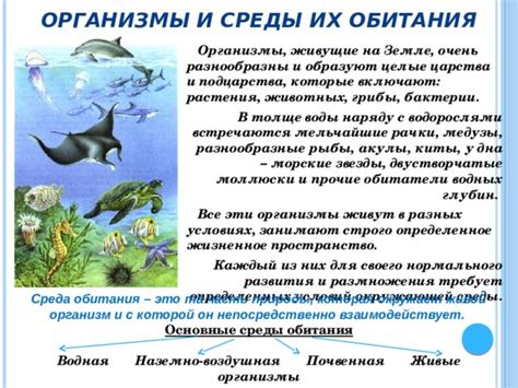 Особенности размещения отверстий у растений водной среды: удивительные особенности