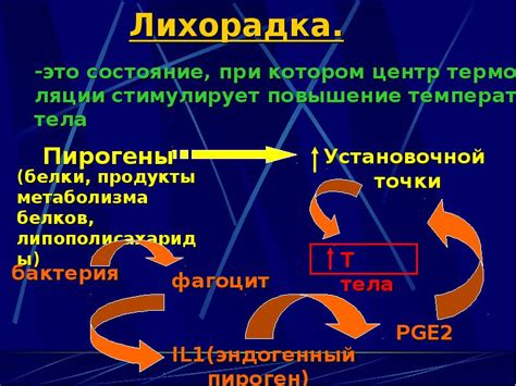 Особенности регуляции температуры тела у различных групп населения