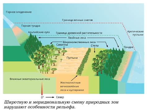 Особенности рельефа и природных образований Мещеры