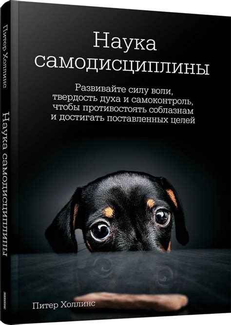 Особенности самодисциплины по сравнению с мотивацией и силой воли