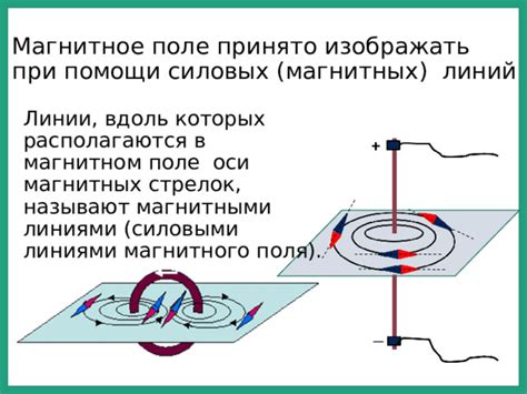 Особенности траекторий силовых потоков в магнитном поле