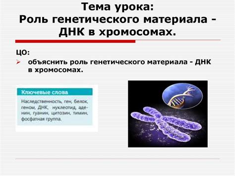 Особенность местонахождения генетического материала в цитоплазме