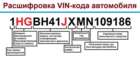 Осуществите осмотр отдельных компонентов, где можно найти информацию о коде кузова