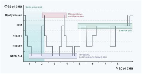 Отдых и сон: гарантия полноценной восстановительной фазы