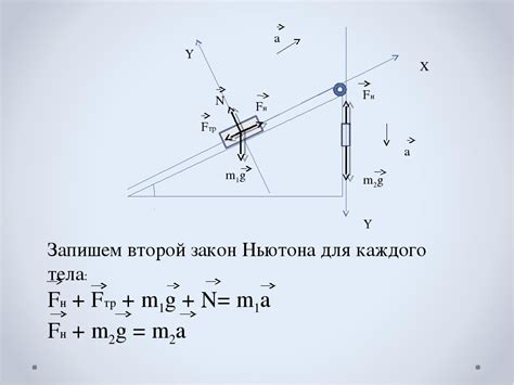 Открытие фундаментального принципа классической механики