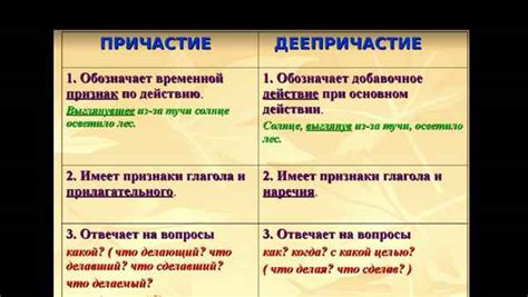 Отличительные особенности причастий, выраженных несовершенным видом, в русском языке