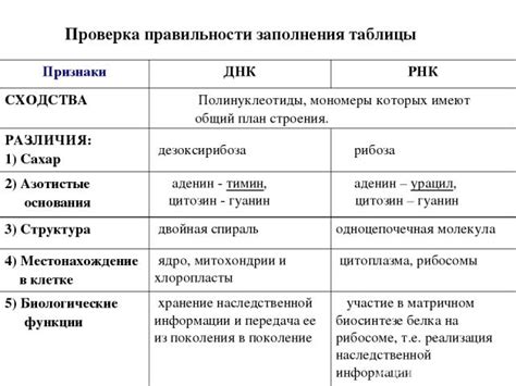 Отличия гербера и хиппа по составу