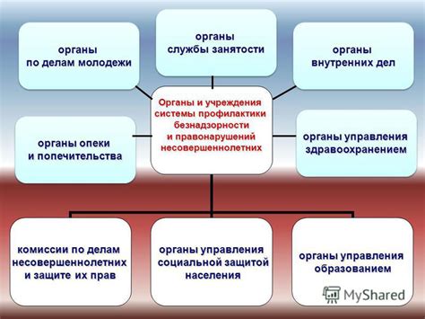 Официальные органы и учреждения