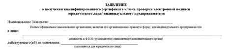 Оформление заявления на получение электронной карты для водителя: шаги и рекомендации