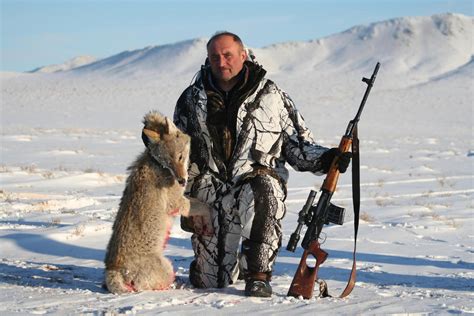 Охота на волков и сбор клыков: непростое, но прибыльное занятие