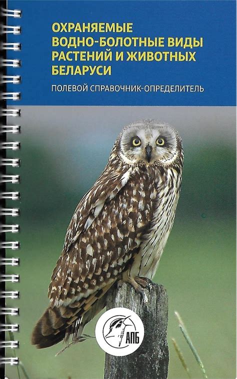 Охраняемые виды растений и животных в заповеднике на Киваче