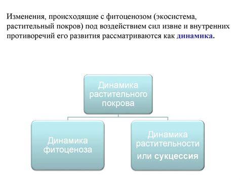 Оценка взаимоотношений и внутренних противоречий