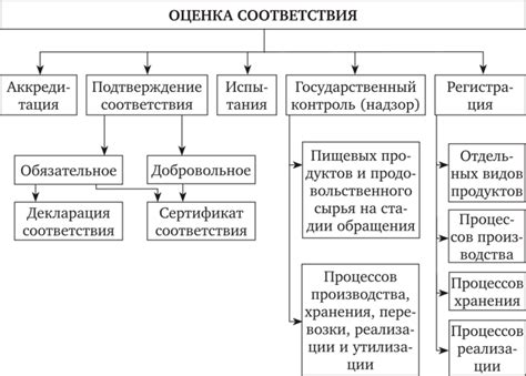 Оценка качества товаров: эффективные стратегии для проверки соответствия товаров описанию