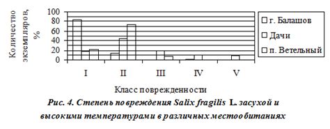 Оценка устойчивости к низким температурам и длительным хранением