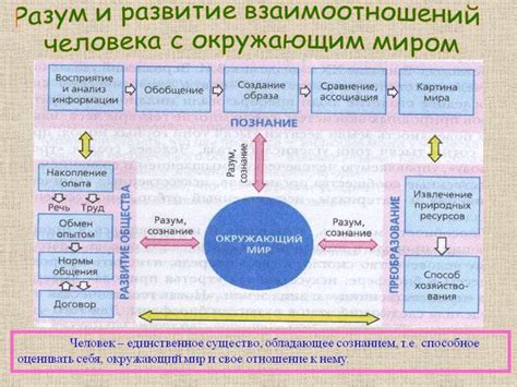 Ощущение взаимосвязи с окружающим миром и природой