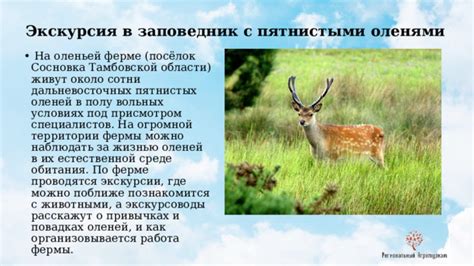 О местных организациях, заботящихся о сохранении оленей и их природной среды