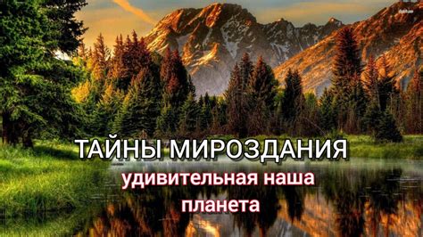 О неотъемлемой значимости заботы о природе и сохранении экологического равновесия