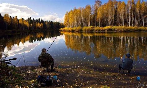 Панорамные виды на реку Ярославку и возможность рыбной ловли