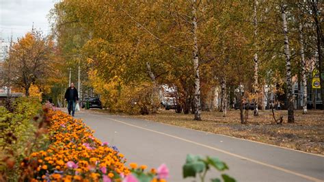 Парки и зеленые уголки вблизи моего дома