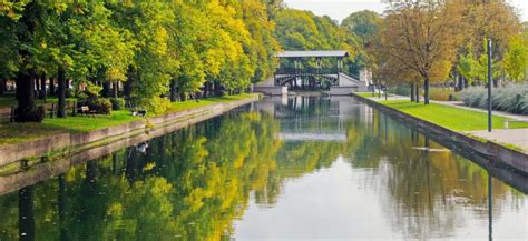 Парки и сады городов, превращающиеся в волшебные красочные ковры