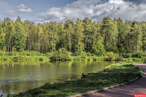 Парк "Лосиный остров": уютная атмосфера и обилие рыбы