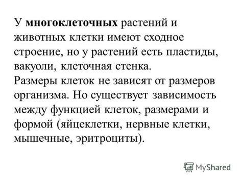 Патологии, связанные с нарушением местонахождения белка-основателя человеческого организма