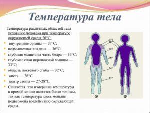 Патологические обусловления повышения температуры у взрослых