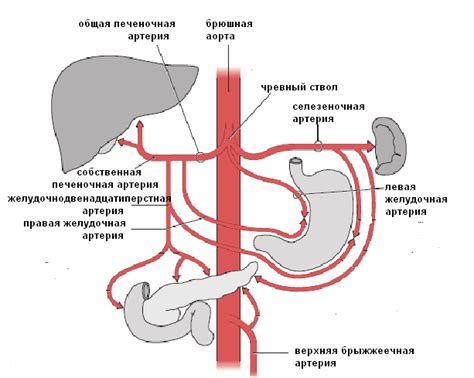 Первая железная артерия: на первый шаг общество отзывается