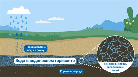 Первоисточники изучения гидробиологического богатства водотоков