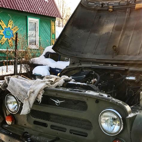 Первые шаги к восстановлению природного баланса