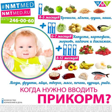 Первый прикорм и выбор продуктов