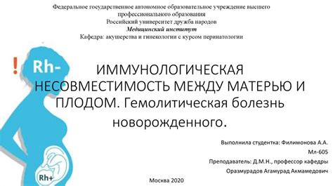 Передача веществ между матерью и плодом: неотъемлемый процесс в развитии новой жизни