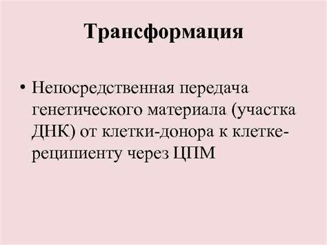 Передача генетического материала: механизмы наследования от предков