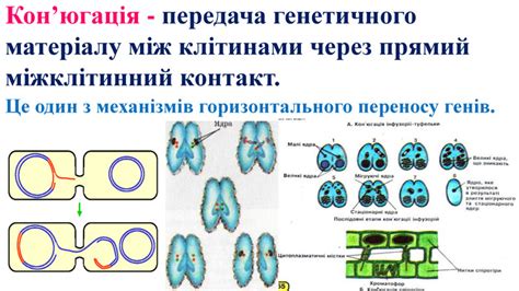 Передача через контакт